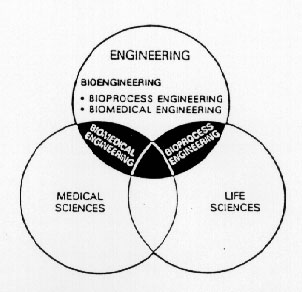 Bioprocess Engineering