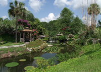 Kanapaha Botanical Gardens (The Water Garden)