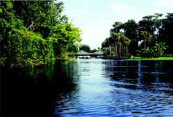 Silver Springs